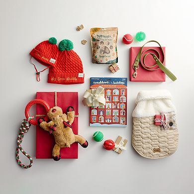 Spunky Pup Gingerbread Crunchy Biscuit Treats 10-oz.