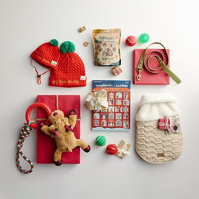 Spunky Pup 25 Dog Treat Holiday Advent Calendar