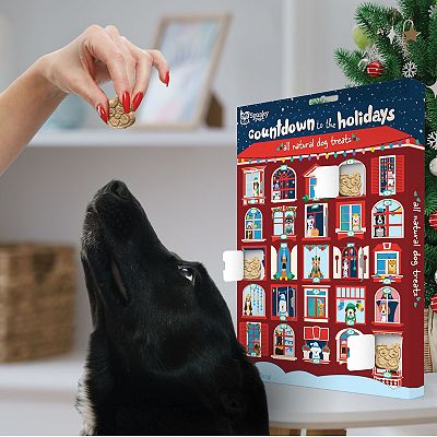 Spunky Pup 25 Dog Treat Holiday Advent Calendar