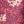 Pink Floral