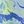 Blue Marble