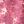 Pink Floral