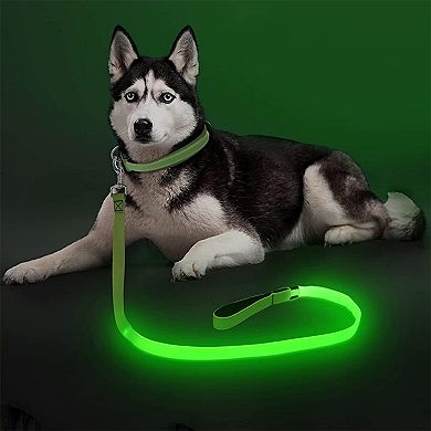 Rechargeable Led Dog Leash 35 Inches