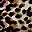 Neutral Shadow Cheetah