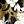 Olive Floral Overlay