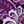 Purple Orchid Paisley