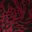 Rich Burgundy Dancing