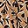 Soft Camel Bold Tulips