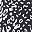 Black White Cheetah