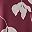 Claret Painted Petals