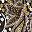 Brown Garden Paisley