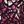 Deep Claret Multi