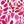 Pink Feather