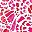 Pink Feather