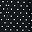 Black Ivory Dot