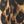 Brown Painterly