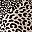 Black Animal Patchwork