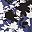 Dusk Graphic Floral
