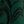 Emerald Paisley Scroll