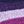 Navy Purple