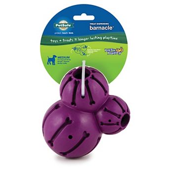 PetSafe® Busy Buddy® Medium Barnacle