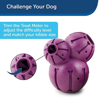 PetSafe® Busy Buddy® Medium Barnacle