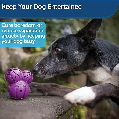 PetSafe® Busy Buddy® Medium Barnacle