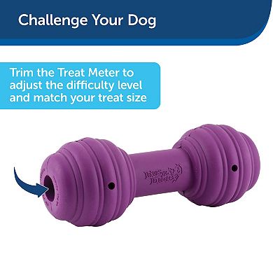 PetSafe® Busy Buddy® Medium/Large Chuckle™