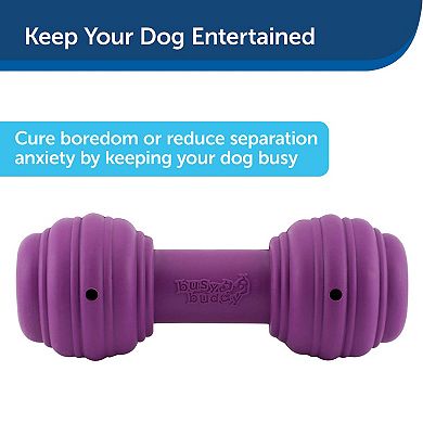 PetSafe® Busy Buddy® Medium/Large Chuckle™
