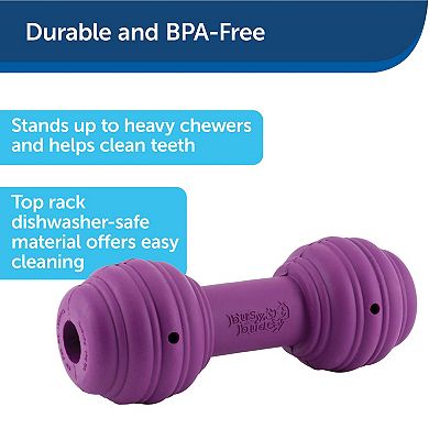 PetSafe® Busy Buddy® Medium/Large Chuckle™