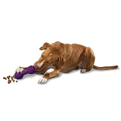 PetSafe® Busy Buddy® Medium/Large Chuckle™