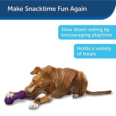 PetSafe® Busy Buddy® Medium/Large Chuckle™