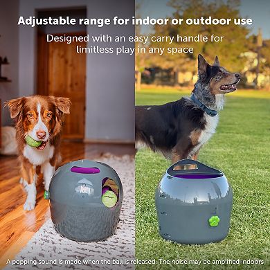 PetSafe® Automatic Ball Launcher