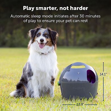 PetSafe® Automatic Ball Launcher