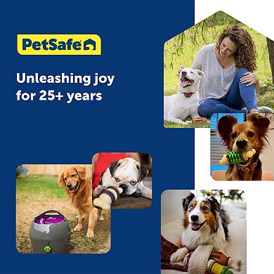 PetSafe® Automatic Ball Launcher