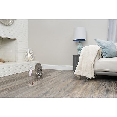 PetSafe® Bolt Automatic Laser Light Cat Toy