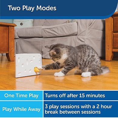 PetSafe® Cheese Automatic Cat Toy