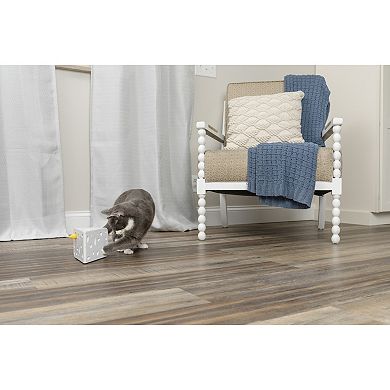 PetSafe® Cheese Automatic Cat Toy