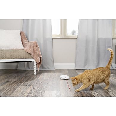 PetSafe® Laser Tail Automatic Laser Light