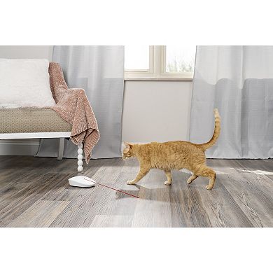 PetSafe® Laser Tail Automatic Laser Light