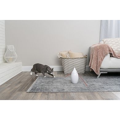 PetSafe® Zoom Laser Cat Toy