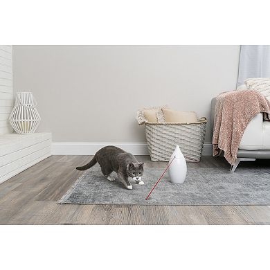PetSafe® Zoom Laser Cat Toy