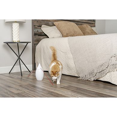 PetSafe® Zoom Laser Cat Toy