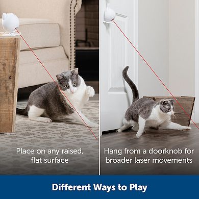 PetSafe® Dancing Dot™ Laser Cat Toy