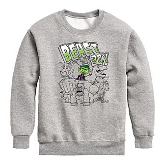 Boys 8-20 Teen Titans Go Beast Boy Crew Fleece Sweatshirt
