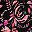 Black Multi Florals