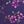 Radiant Purple Soft