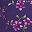Radiant Purple Soft