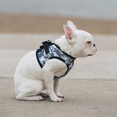Doggie Design American River Dog Harness Camouflage Collection