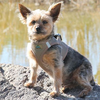 Doggie Design American River Ultra Choke Free Dog Harness